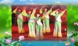 九儿舞蹈视频,激情四溢，展现东方韵律之美